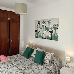 https://apto-ana-malaga-centro.es-andalucia.com